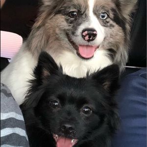 Meet your Posher, Armando